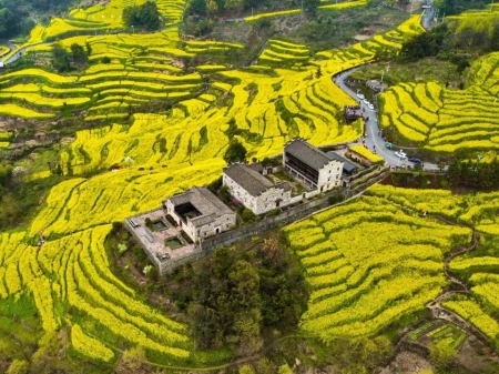 浙江藏着春季赏花的好地方，距离杭州2h，适合周末自驾两日游